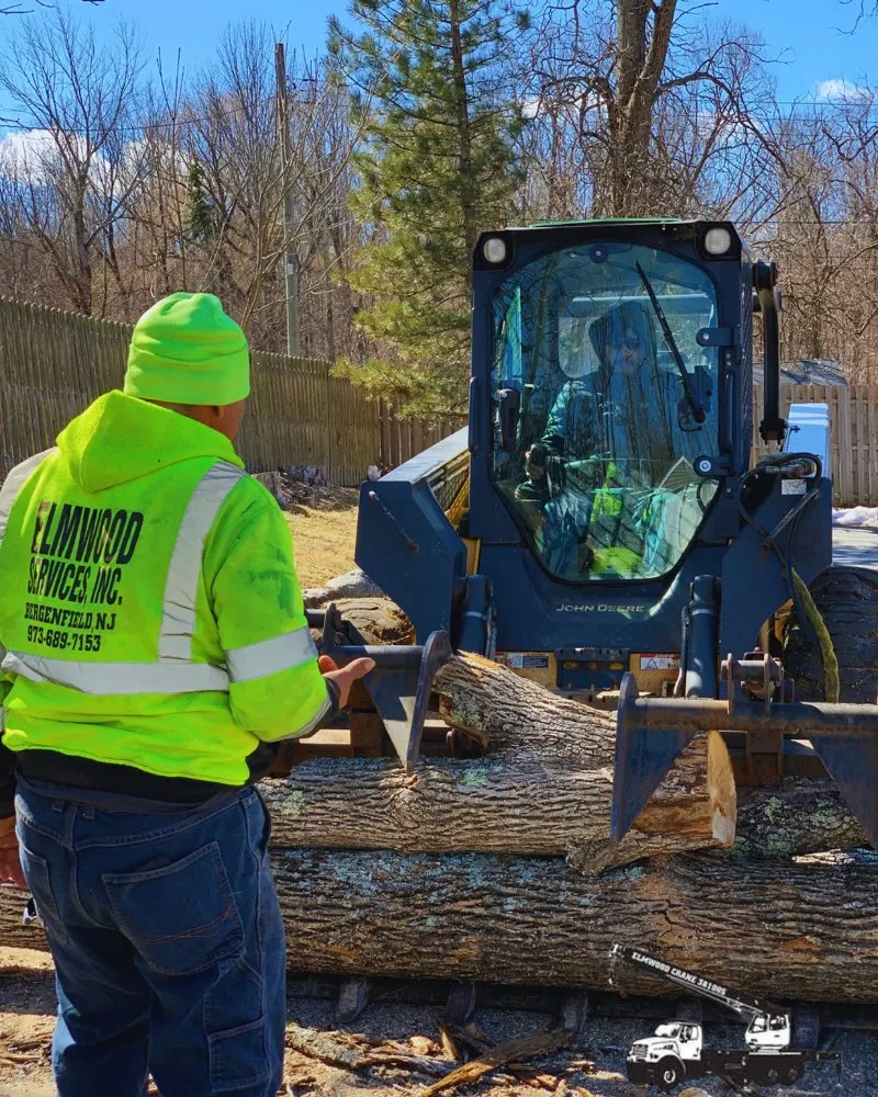 Professional lawn mowing service in Bergenfield, NJ by Elmwood Services