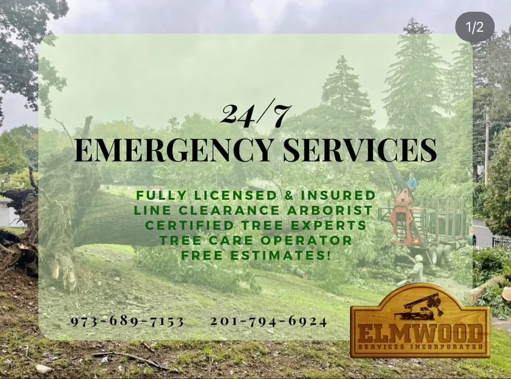 Local outdoor landscaping in Bergenfield, NJ by Elmwood Services