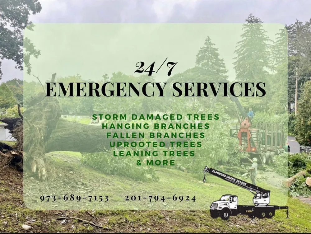 Local landscaping services for outdoor upgrades across Bergenfield, NJ - Elmwood Services