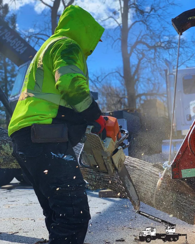 Top-rated lawn care service for year-round maintenance across Bergenfield, NJ - Elmwood Services