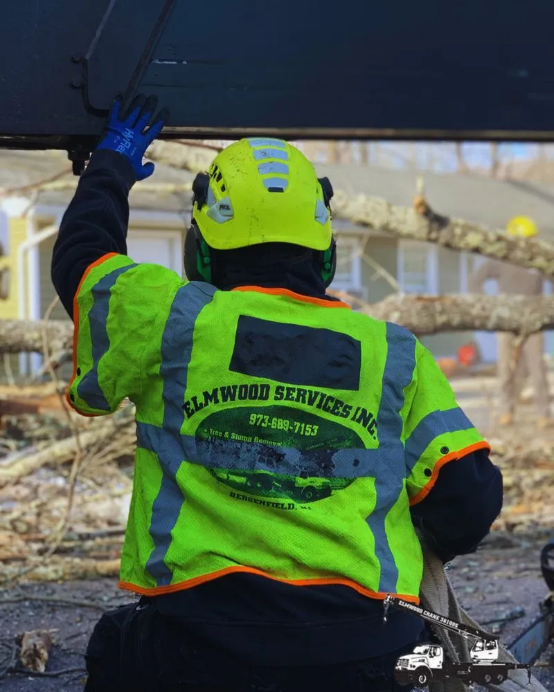 Professional residential landscaping for beautiful yards across Bergenfield, NJ - Elmwood Services