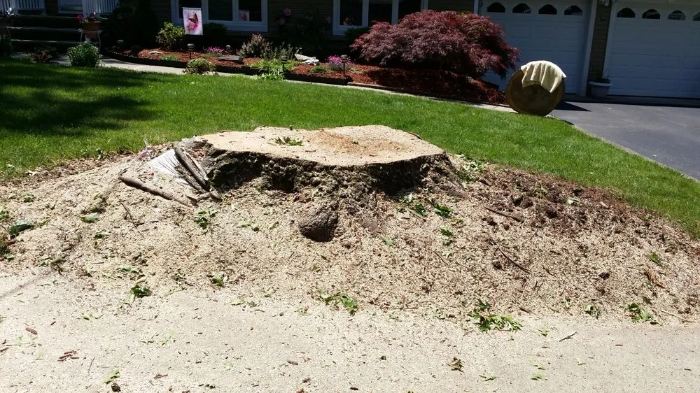 Expert yard maintenance for beautiful yards across Bergenfield, NJ - Elmwood Services