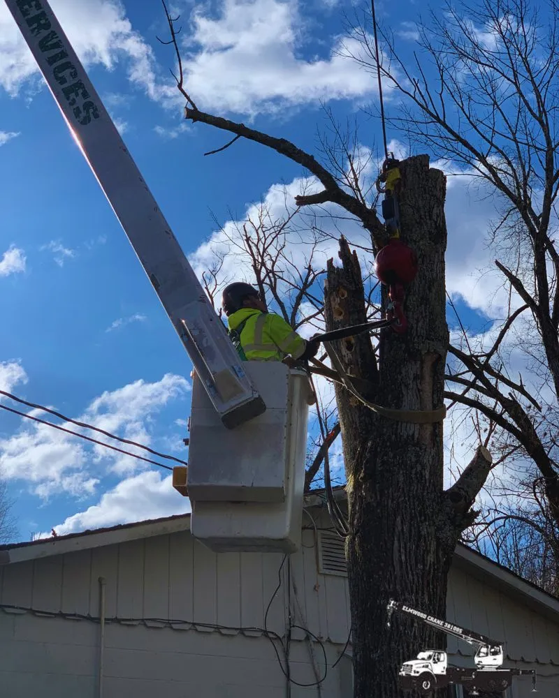 Affordable lawn mowing service near you across Bergenfield, NJ - Elmwood Services