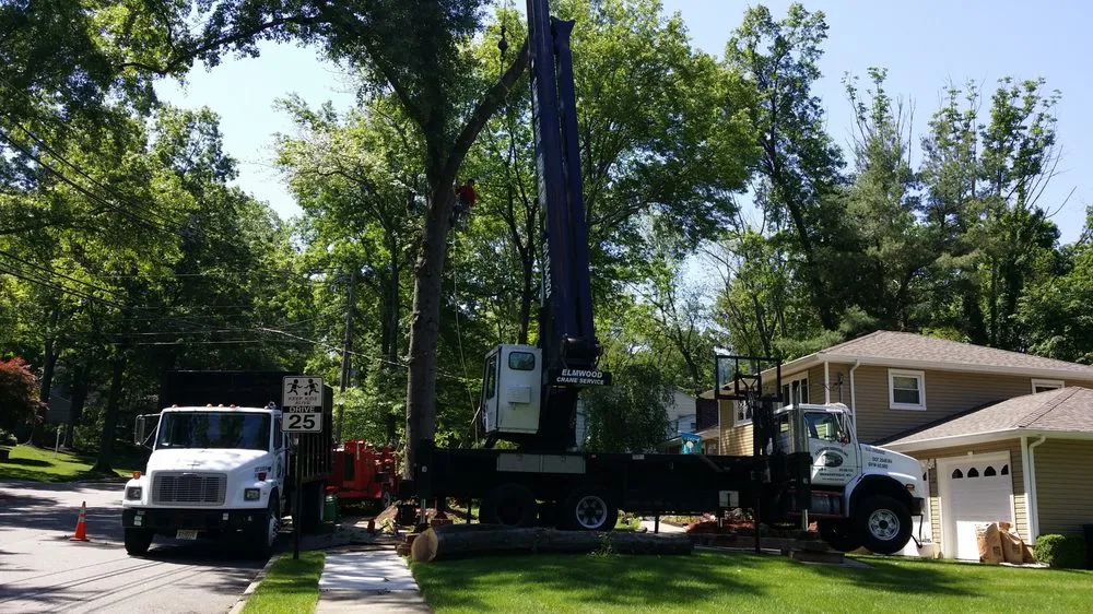 Top-rated residential landscaping for residential properties in Bergenfield, NJ by Elmwood Services