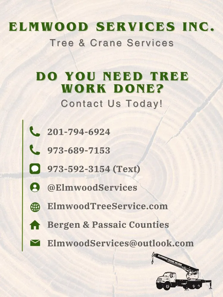 Professional yard maintenance for homes across Bergenfield, NJ - Elmwood Services