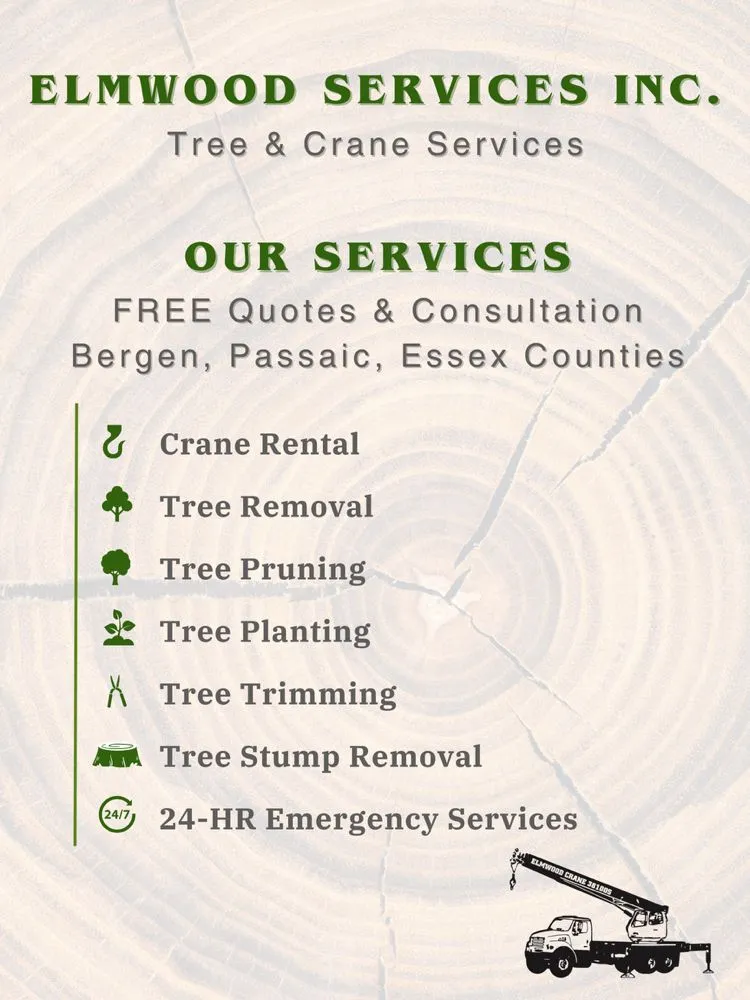 Expert landscape design in Bergenfield, NJ - Elmwood Services