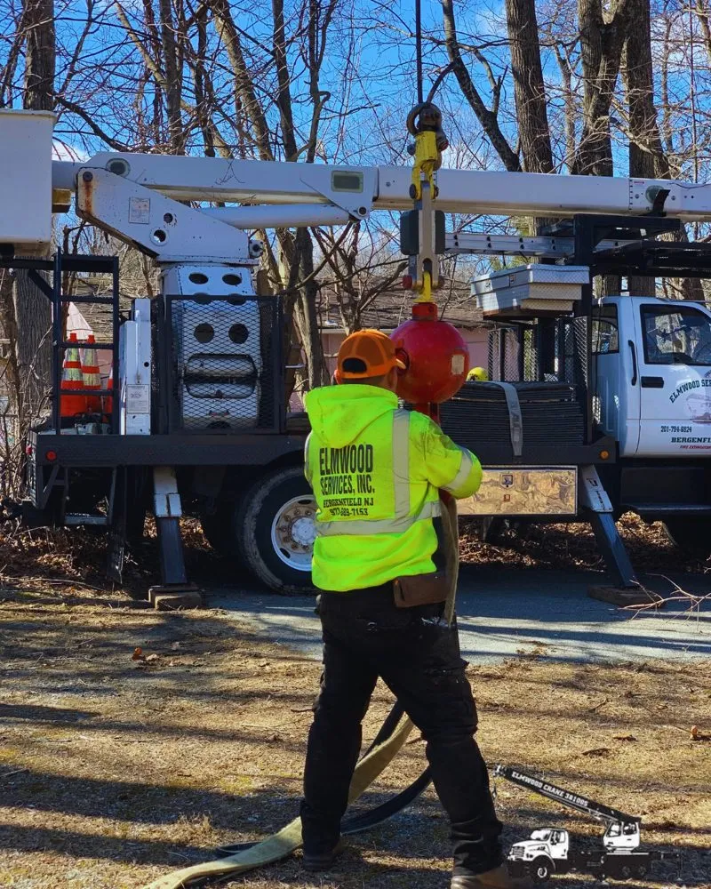 Top-rated landscape installation in Bergenfield, NJ by Elmwood Services