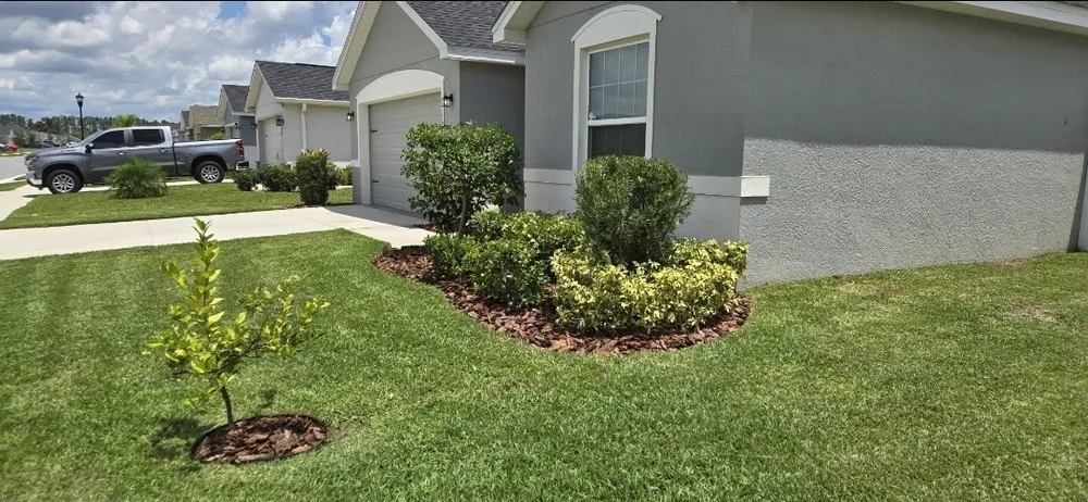 Trusted yard cleanup service in Polk City, FL by Elohim Lawncare Services