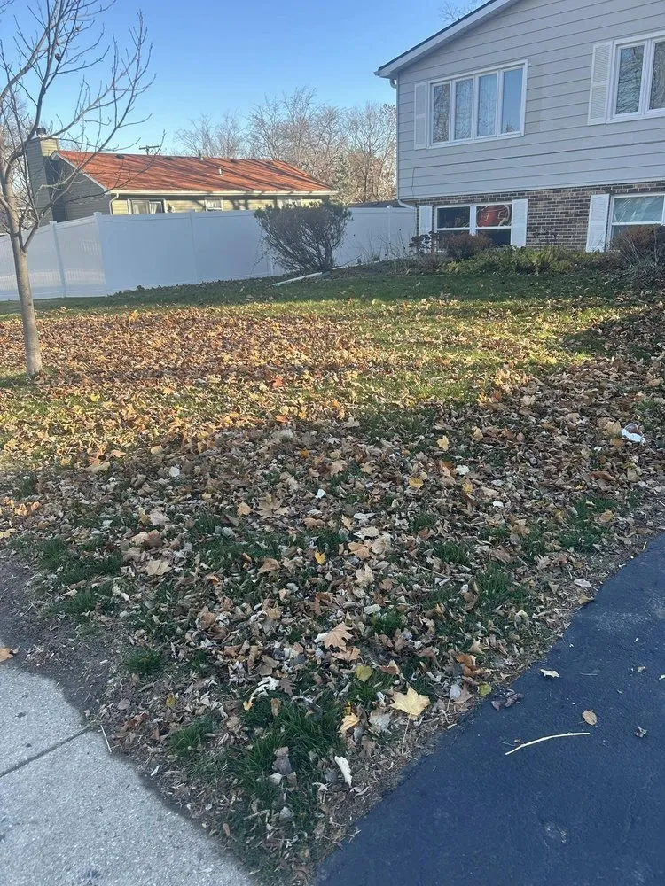Reliable outdoor landscaping in Lake County, IL - Eloiza Landscaping