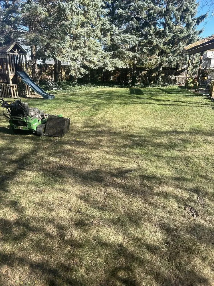 Expert yard maintenance in Lake County, IL by Eloiza Landscaping