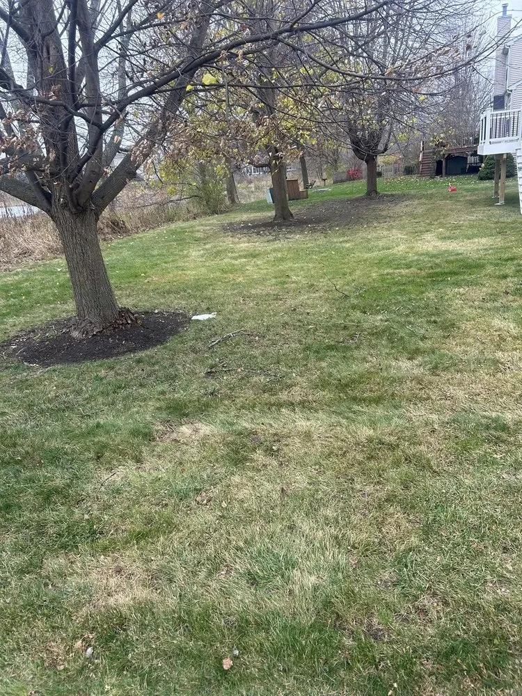 Professional garden landscaping experts serving Lake County, IL - Eloiza Landscaping