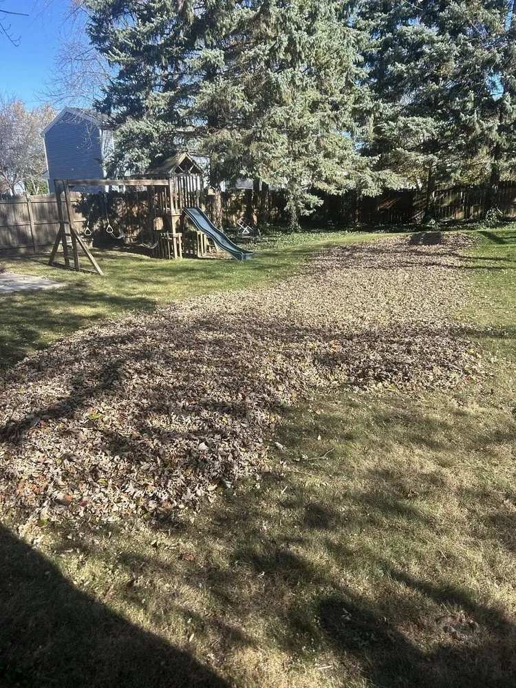 Top-rated landscape installation experts serving Lake County, IL - Eloiza Landscaping