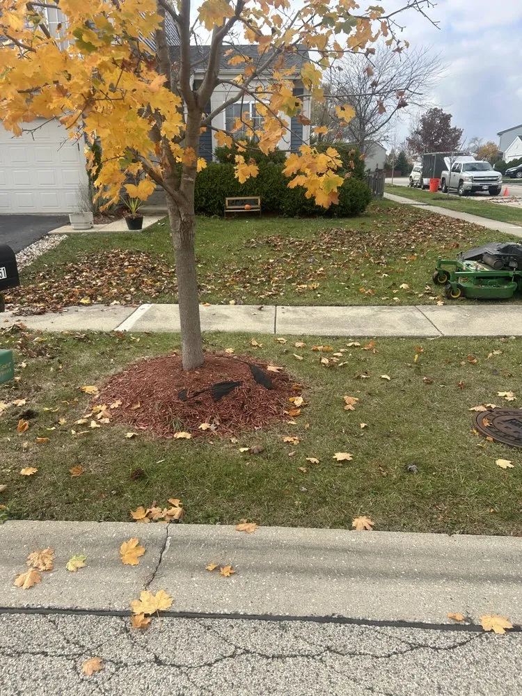 Professional yard maintenance for beautiful yards in Lake County, IL by Eloiza Landscaping