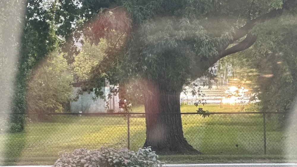 Top-rated yard cleanup service in Ortonville, MI - Elowsky Lawn Services of Michigan