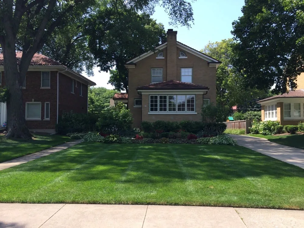 Expert yard cleanup service in Cicero, IL - ELOY Landscapes