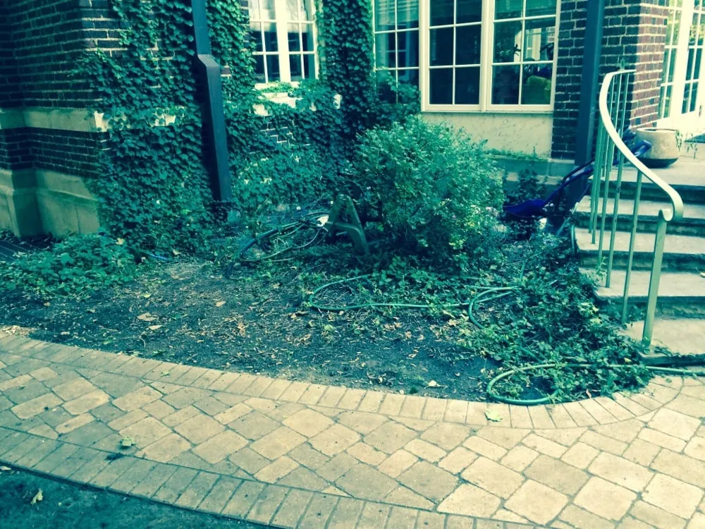 Reliable lawn mowing service in Cicero, IL - ELOY Landscapes