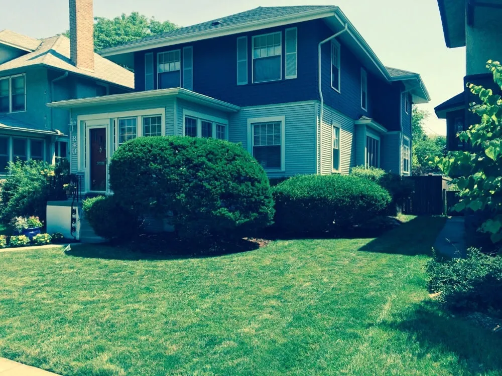 Local yard cleanup service in Cicero, IL by ELOY Landscapes