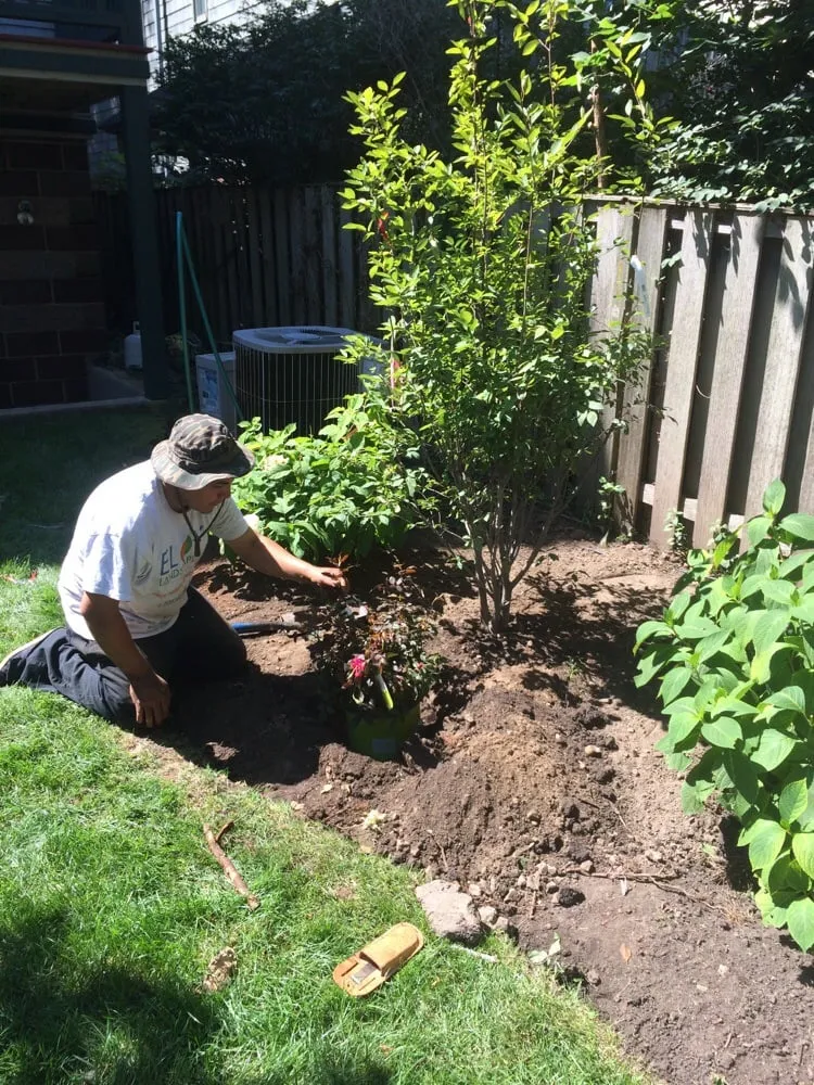 Affordable yard cleanup service for residential properties in Cicero, IL by ELOY Landscapes