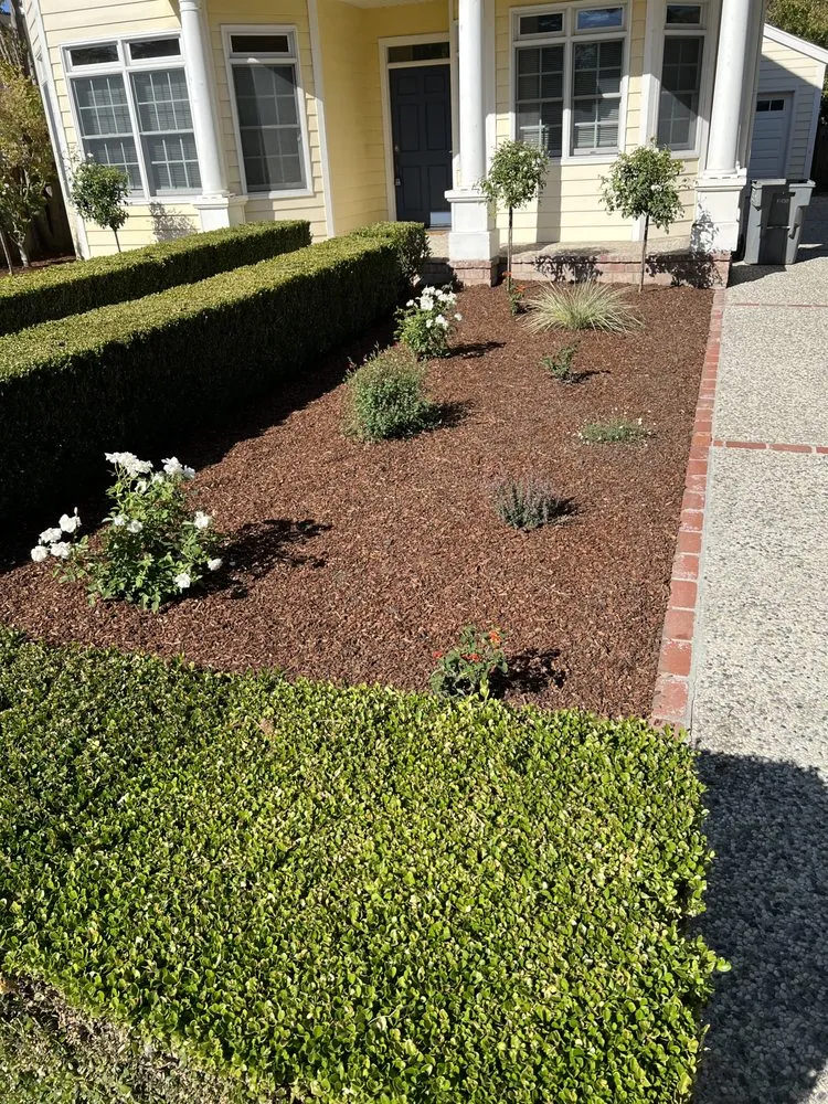 Professional garden landscaping in Redwood City, CA - Eloy's Gardening Service