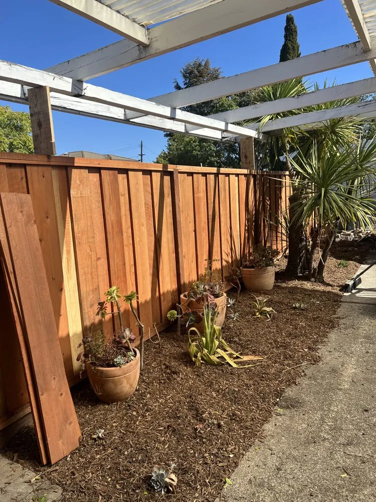Top-rated yard cleanup service for outdoor upgrades across Redwood City, CA - Eloy's Gardening Service