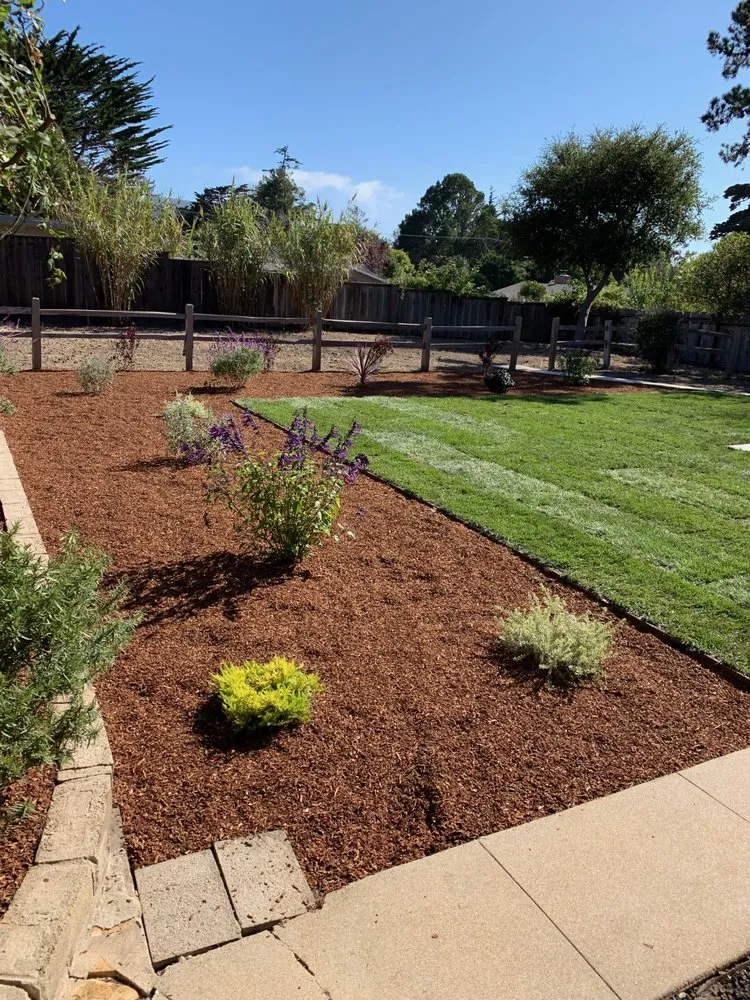 Professional yard maintenance in Redwood City, CA by Eloy's Gardening Service