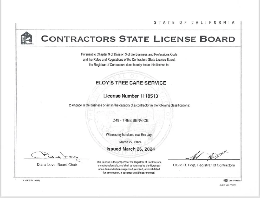 Custom landscape design in Carlsbad, CA by Eloy’s Tree Care Service