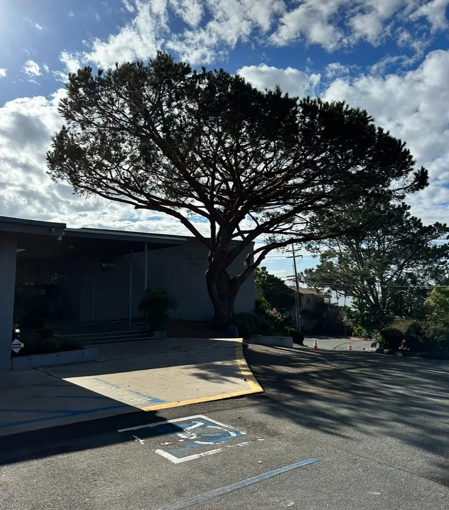 Affordable landscape design experts serving Carlsbad, CA - Eloy’s Tree Care Service