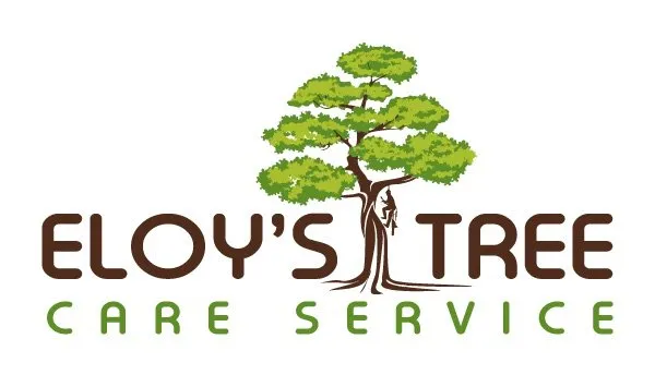Affordable lawn care service for homes across Carlsbad, CA - Eloy’s Tree Care Service
