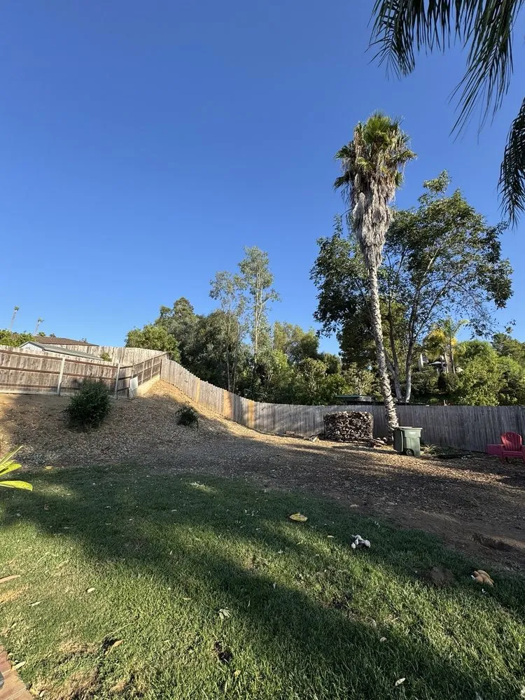 Reliable yard maintenance for beautiful yards in Carlsbad, CA by Eloy’s Tree Care Service