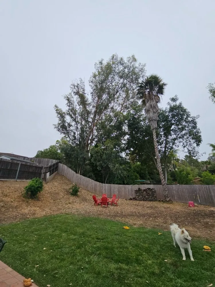 Local landscape installation for residential properties across Carlsbad, CA - Eloy’s Tree Care Service