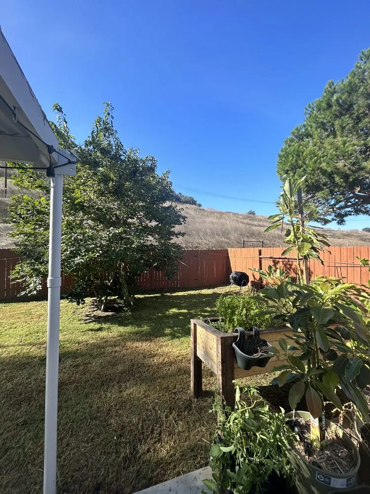 Local landscaping services in Carlsbad, CA - Eloy’s Tree Care Service