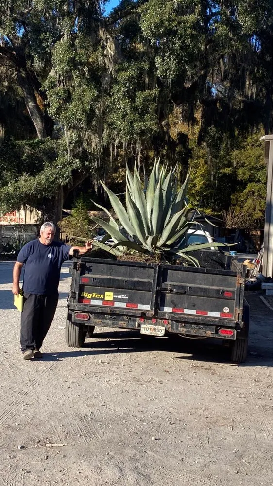 Professional landscaping services experts serving Savannah, GA - ELP Landscape Services