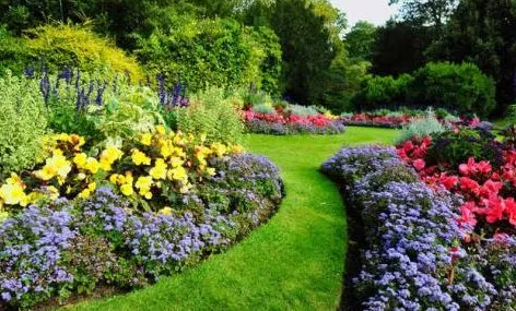 Affordable residential landscaping experts serving Savannah, GA - ELP Landscape Services