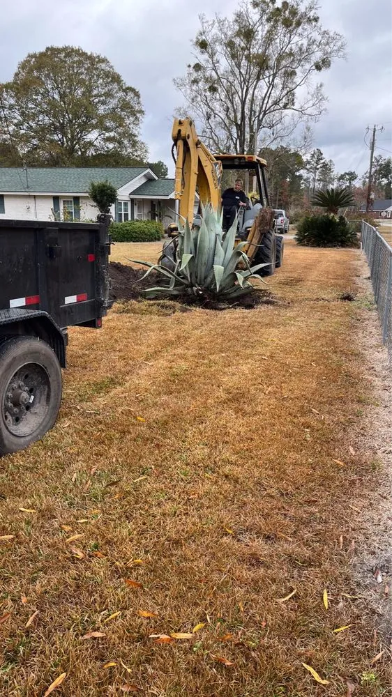 Top-rated lawn care service in Savannah, GA - ELP Landscape Services