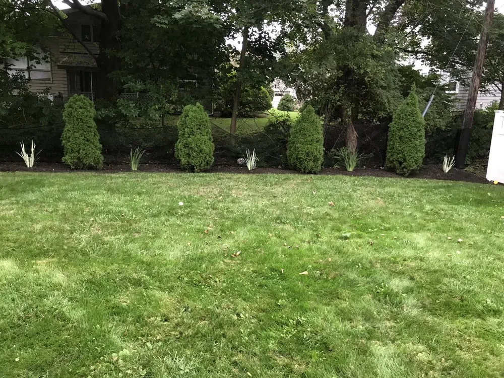 Expert yard maintenance in Lynn, MA - ELP Landscaping & Construction
