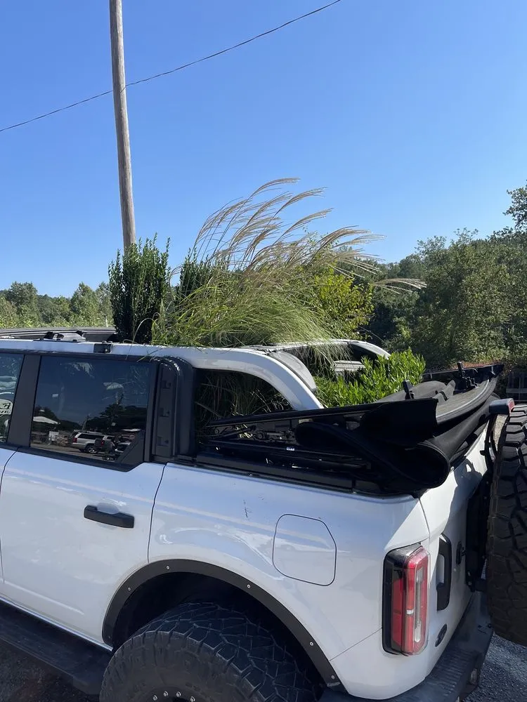 Professional outdoor landscaping near you in Dallas, GA by Elrod Garden Center