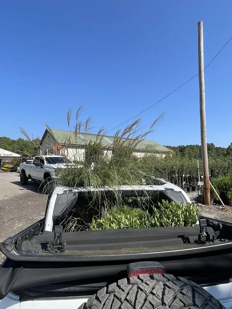 Local yard maintenance near you in Dallas, GA by Elrod Garden Center