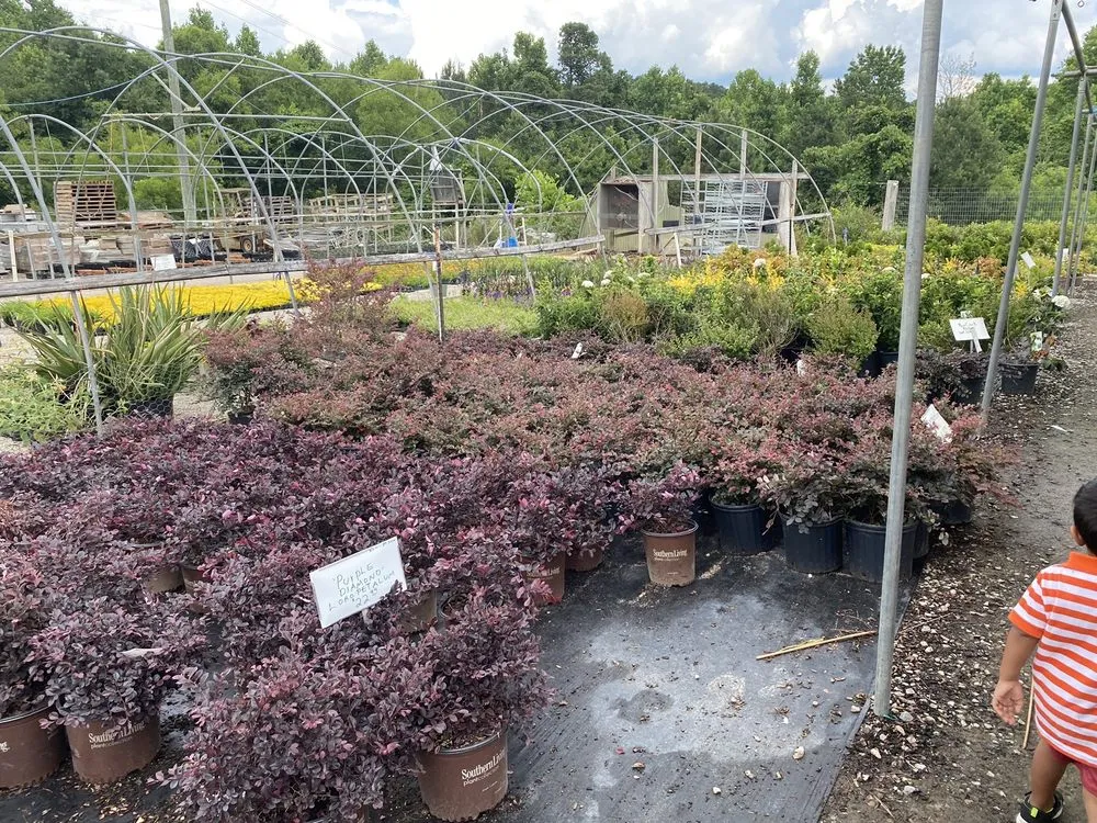 Reliable landscape installation near you in Dallas, GA by Elrod Garden Center