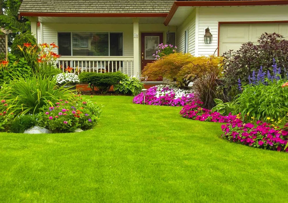 Professional landscape design experts serving San Rafael, CA - ELS Landscaper San Rafael