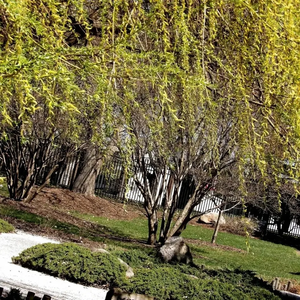 Affordable outdoor landscaping experts serving Mishawaka, IN - EL's Lawn Care