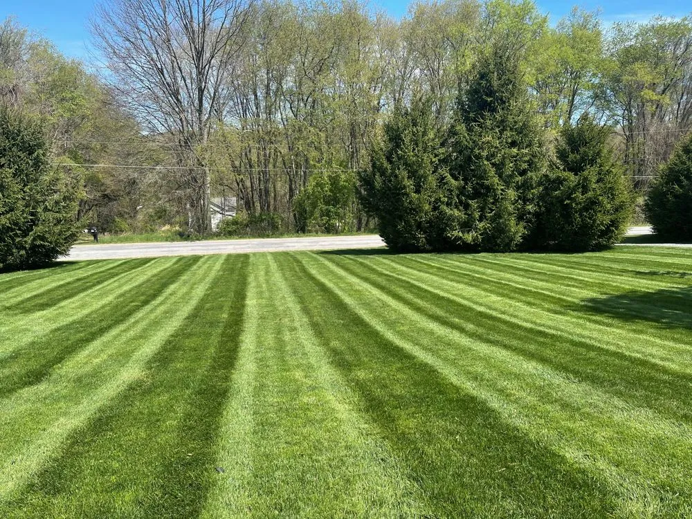 Custom lawn mowing service for year-round maintenance in Butler, PA by El's Lawn Service