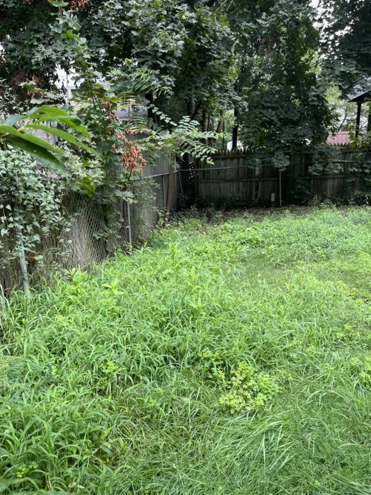 Top-rated yard maintenance in Butler, PA by El's Lawn Service