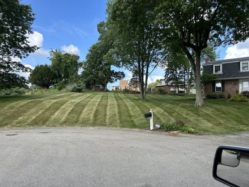 Affordable yard cleanup service near you across Butler, PA - El's Lawn Service