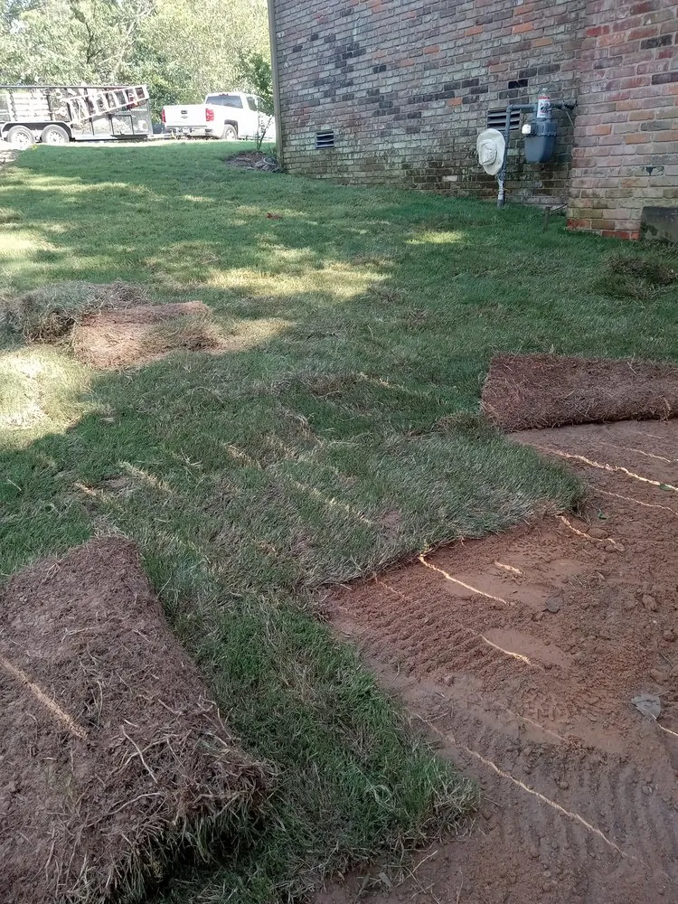 Reliable lawn care service in Little Rock, AR by Els Lawn Service