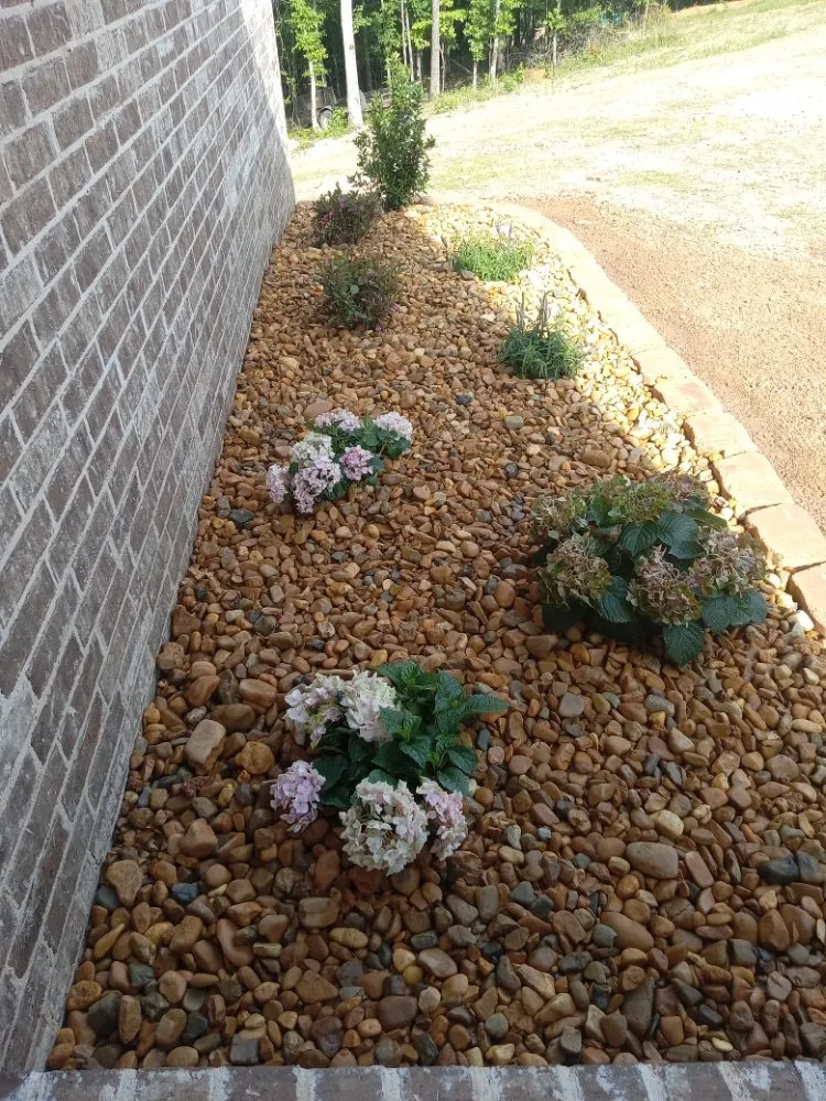 Top-rated yard maintenance for year-round maintenance in Little Rock, AR by Els Lawn Service