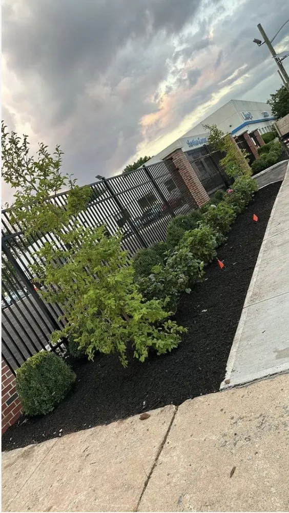 Trusted yard cleanup service for homes in Tewksbury, NJ by ELS Project Management