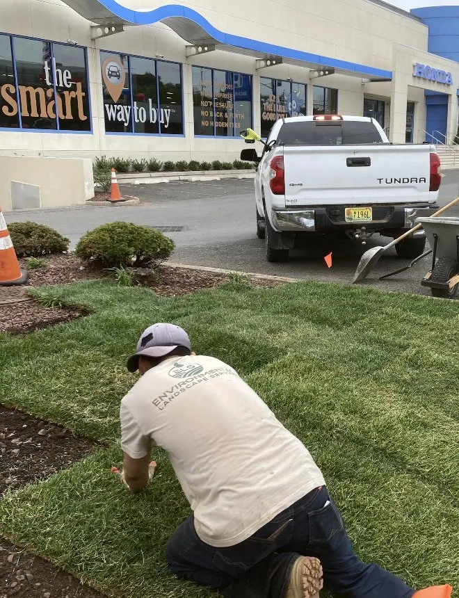 Local yard maintenance for beautiful yards in Tewksbury, NJ by ELS Project Management