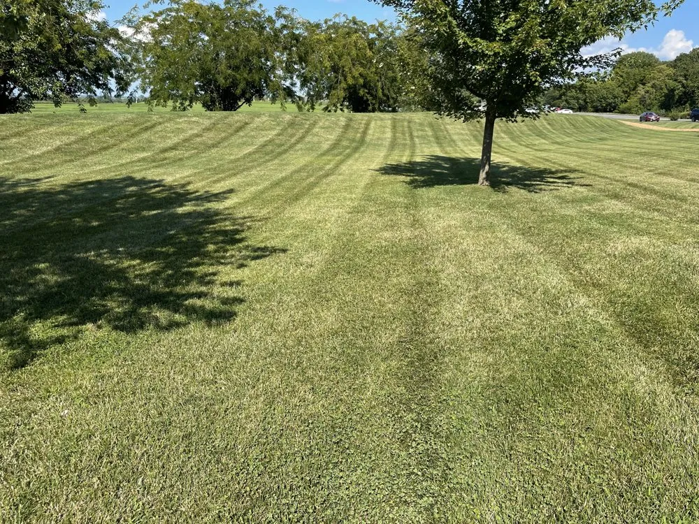 Trusted lawn mowing service for outdoor upgrades in Freeburg, IL by Elser Lawn & Home
