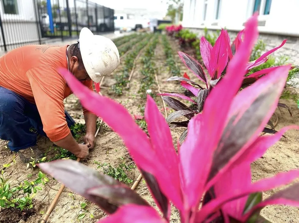 Trusted yard maintenance experts serving Plant City, FL - ELT Landscape