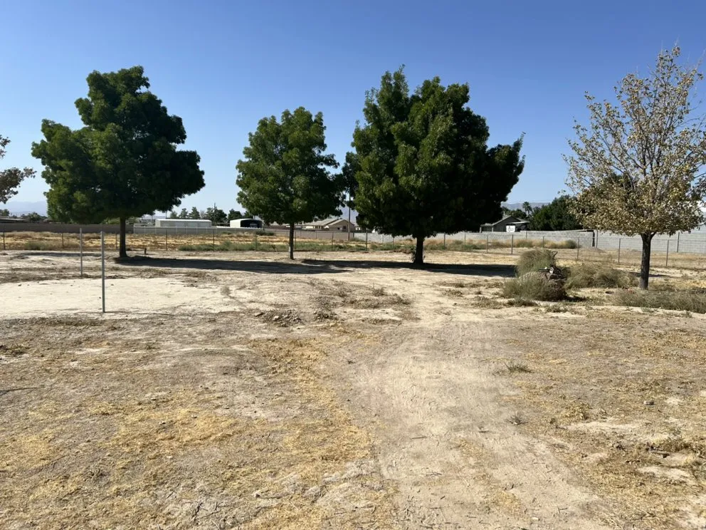 Reliable yard cleanup service in Pahrump, NV - ELT Landscaping and Construction